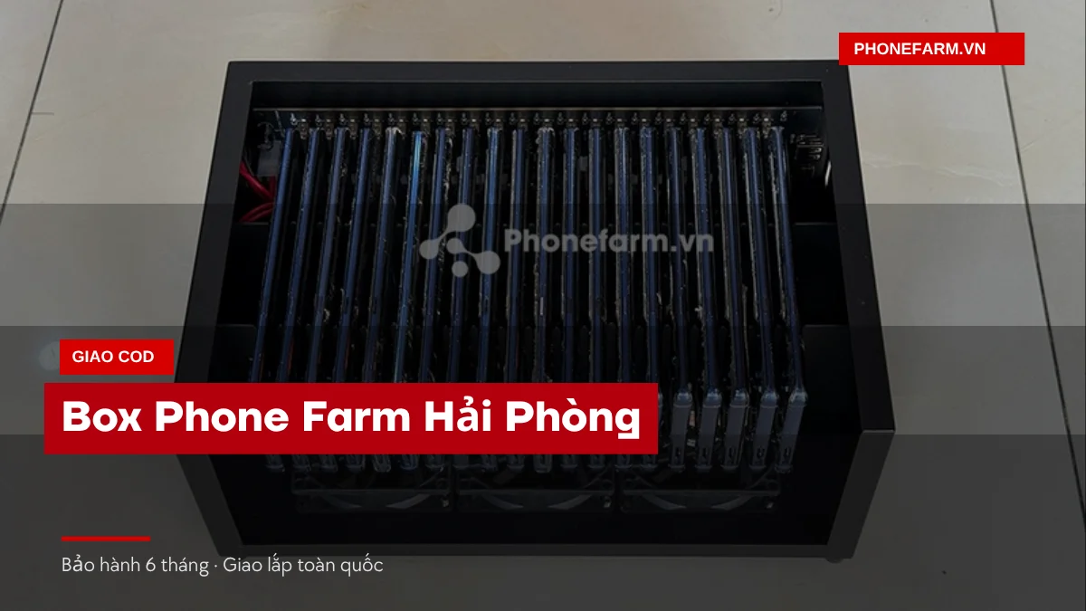 Ảnh bìa Box Phone Farm Hải Phòng giao COD